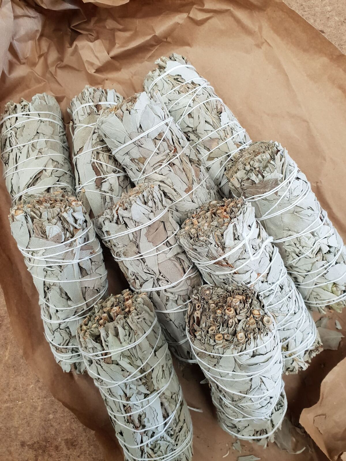 White Sage Smudge Stick